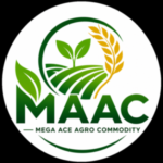 chatgpt image jul 14, 2026, 08 47 14 am